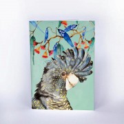 Pocketbook - Black Cockatoo